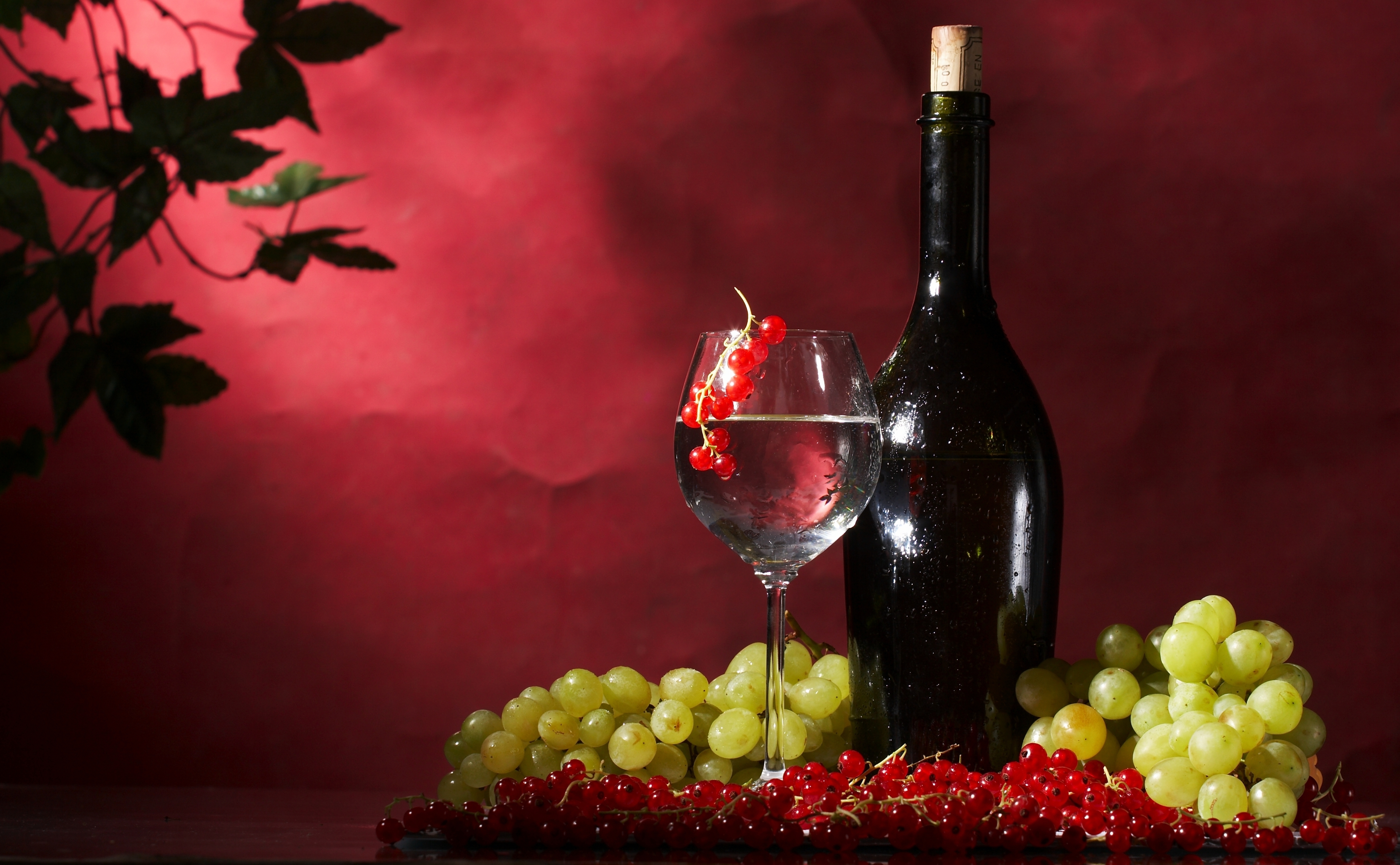 260+ Wine HD Wallpapers and Backgrounds