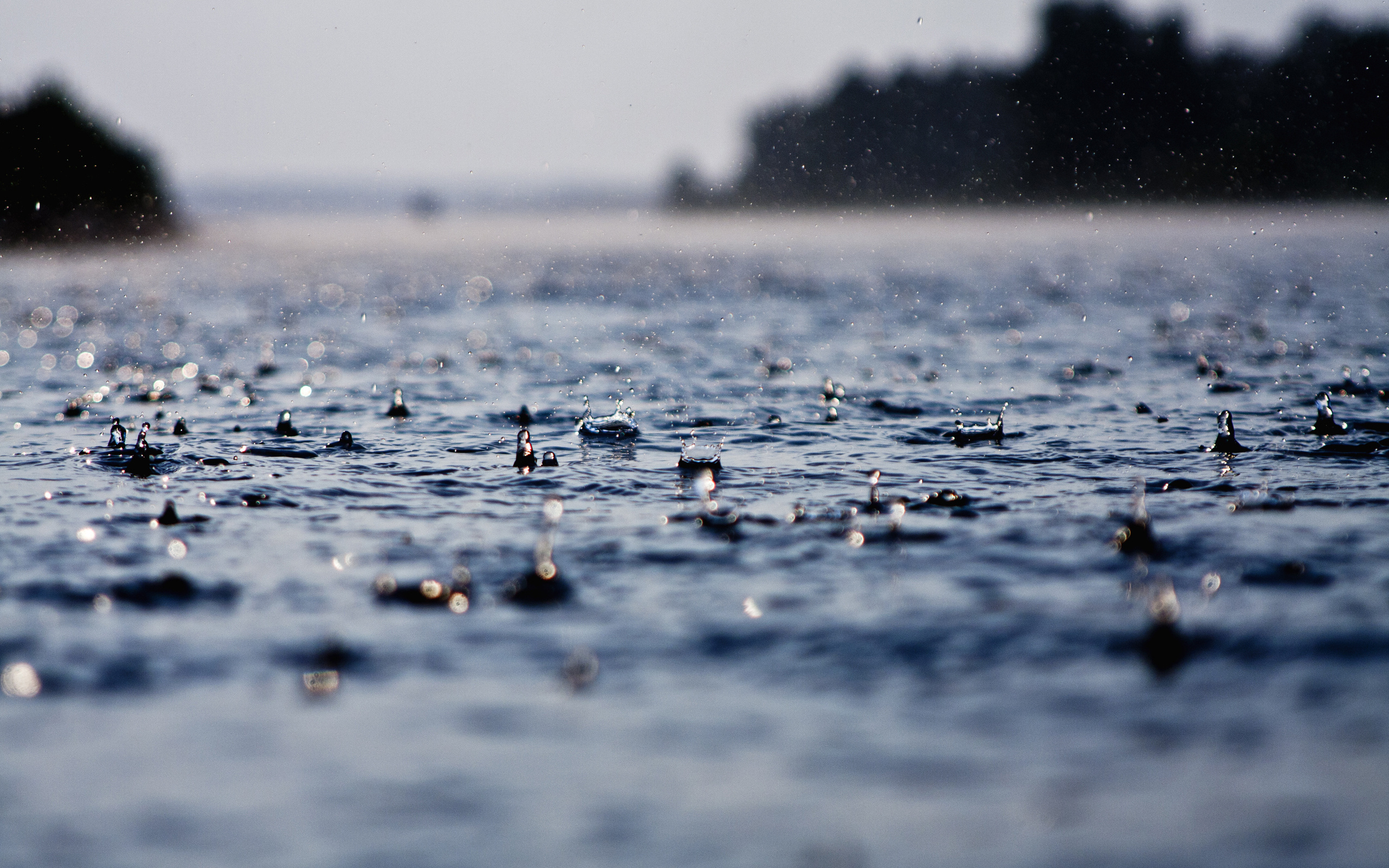 120+ Rain HD Wallpapers and Backgrounds