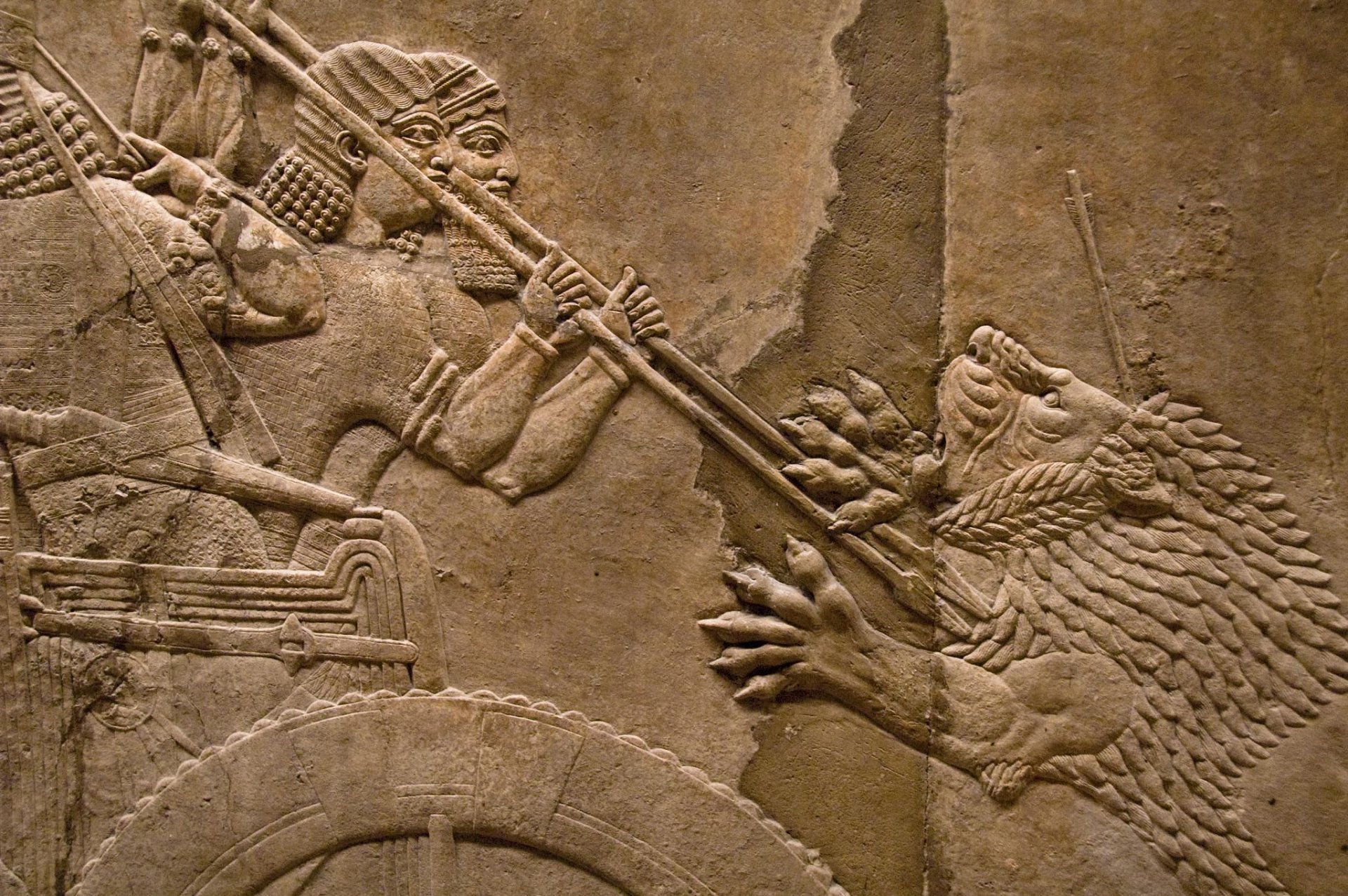 Assyria: Lion Hunts Full HD Wallpaper and Background Image | 2048x1362