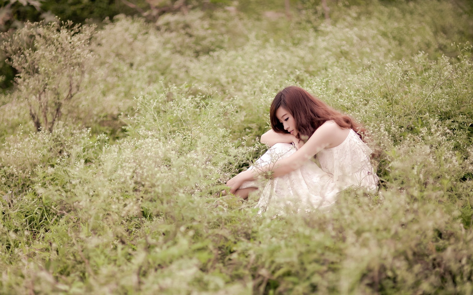 HD desktop wallpaper of an Asian woman in a white dress sitting in a serene field of tall grass and wildflowers, with a calm and reflective expression.