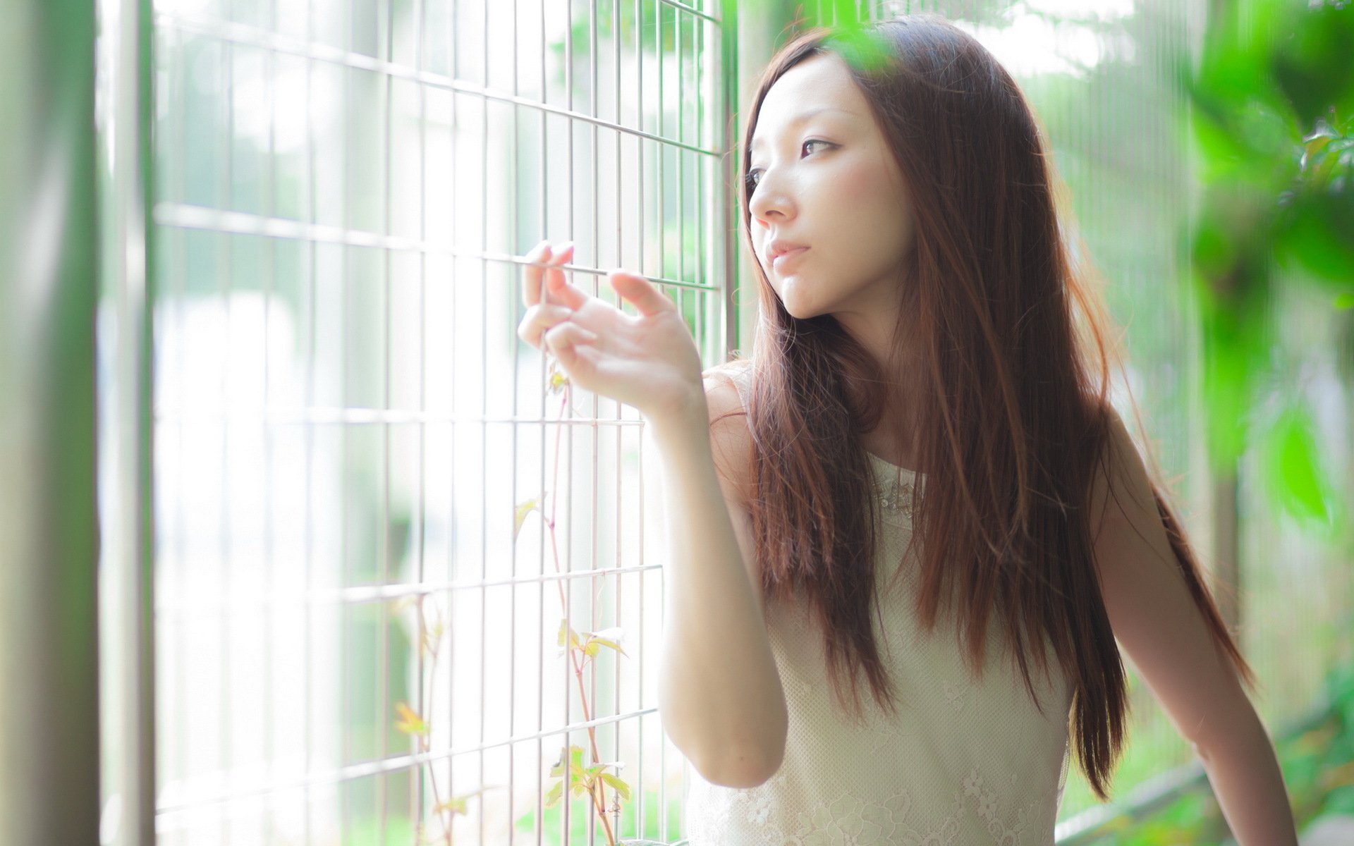 A serene image of an Asian woman in a white dress, gently touching a fence, surrounded by lush greenery. This HD wallpaper creates a calm and reflective atmosphere.