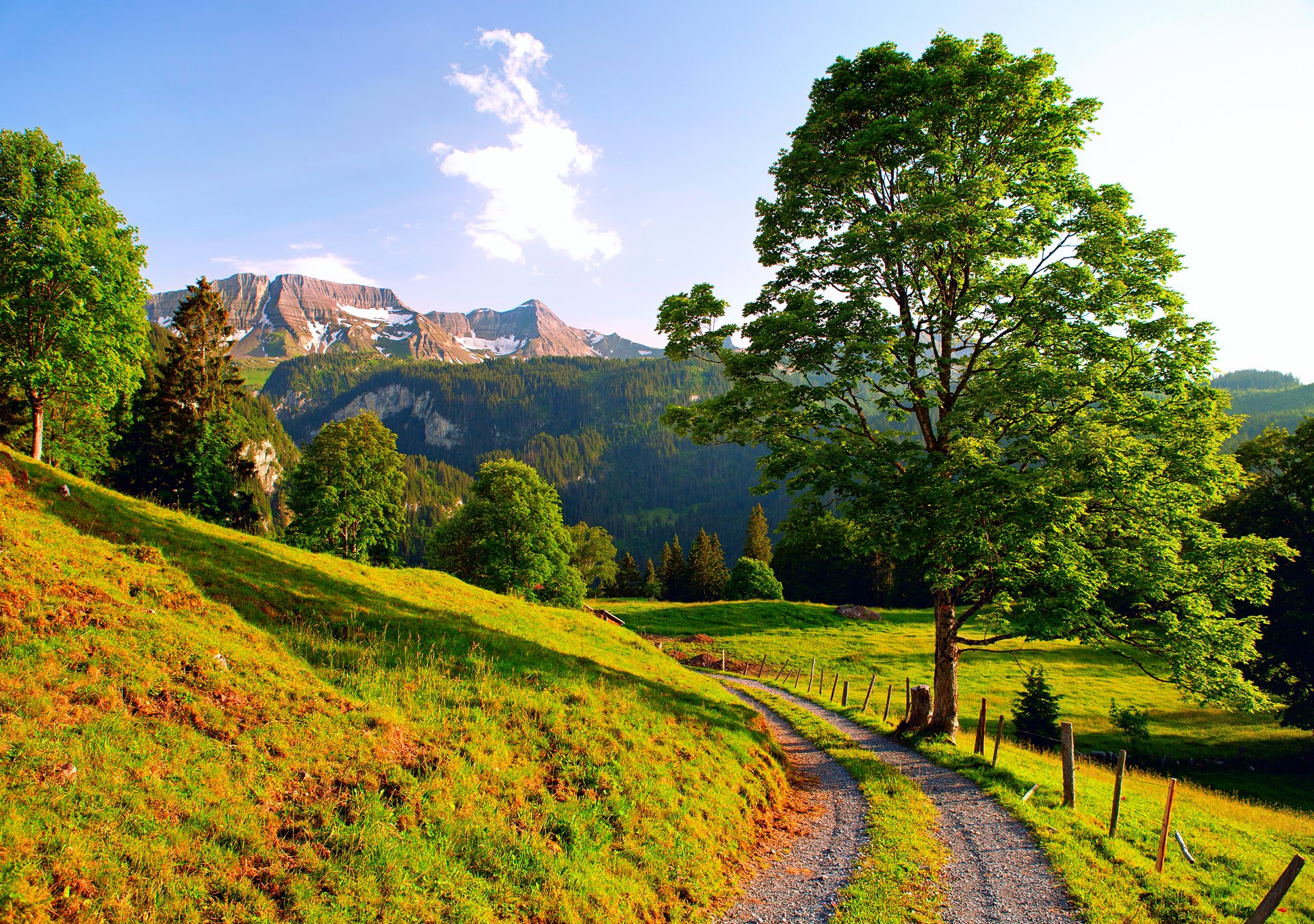 A stunning HD desktop wallpaper showcasing a picturesque landscape with a winding path through lush green fields, majestic trees, and distant mountains under a clear blue sky.