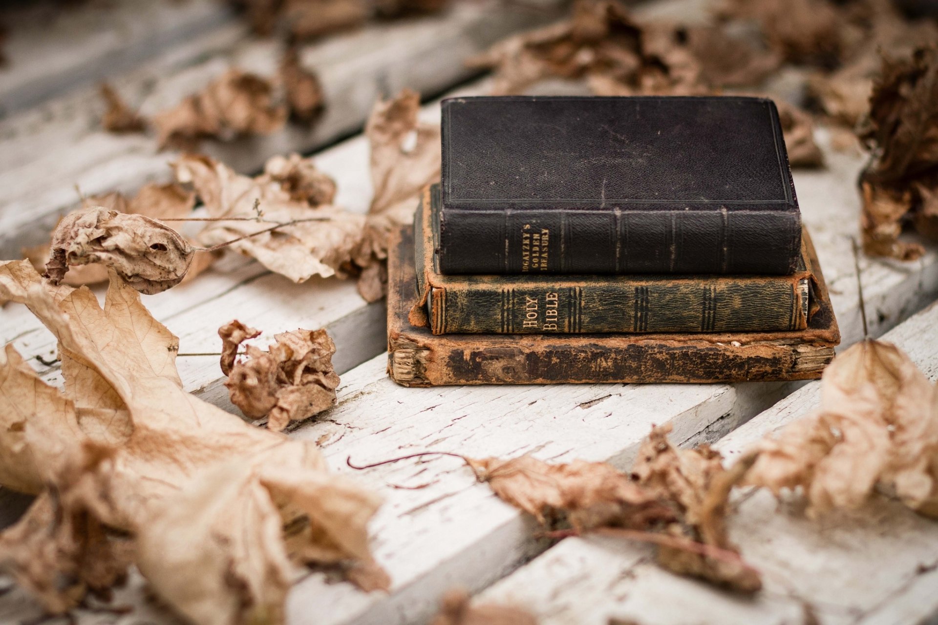 A stack of vintage books rests on a weathered white surface surrounded by dry, fallen leaves, creating a serene and contemplative atmosphere in this HD wallpaper.
