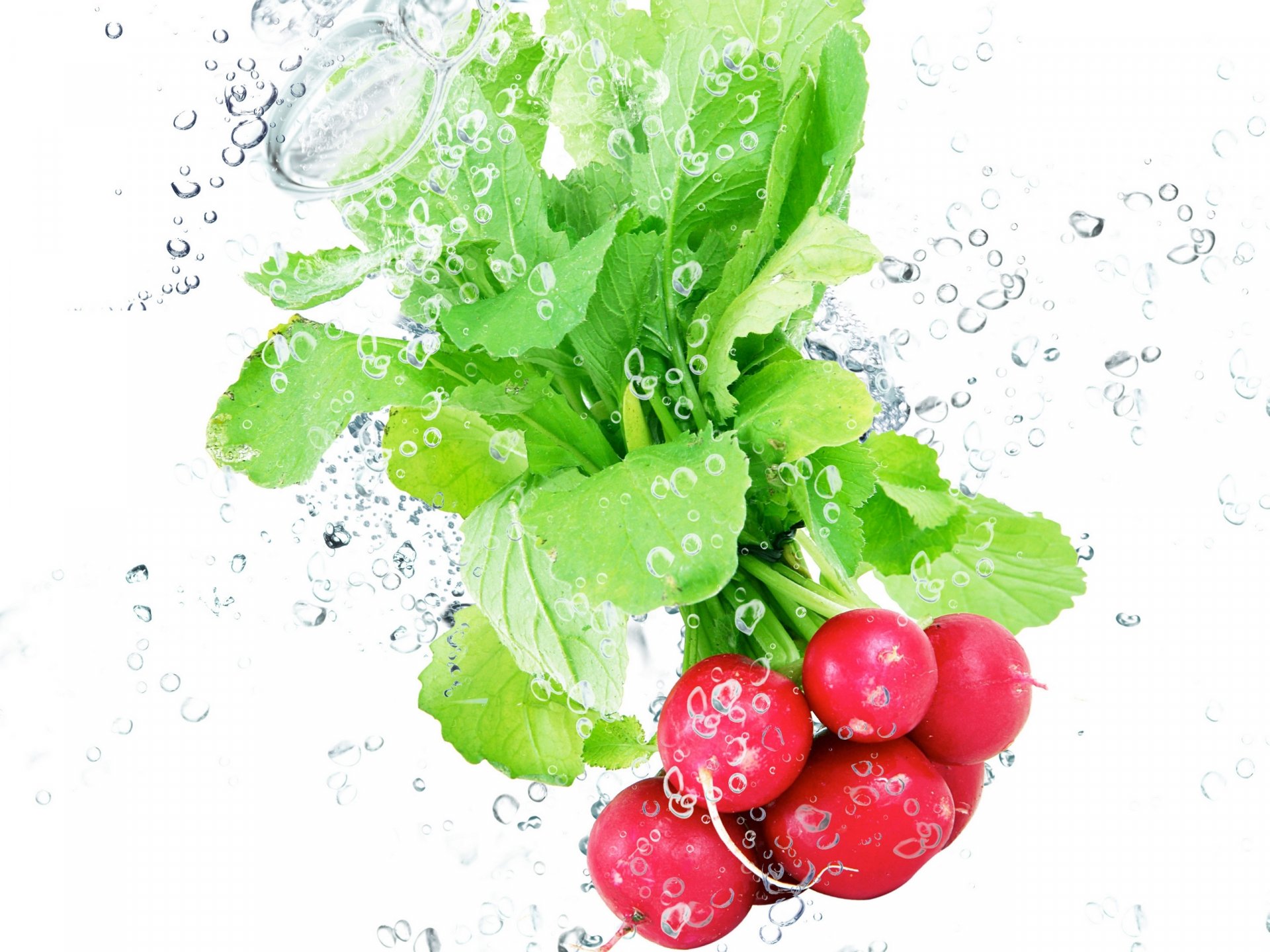 Fresh radishes with vibrant green leaves splash in clear water, creating an appealing HD desktop wallpaper background focused on the beauty of vegetables.