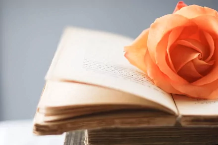 An open book rests on a stack of more books, adorned with a soft orange rose, creating a serene and inviting desktop wallpaper background.