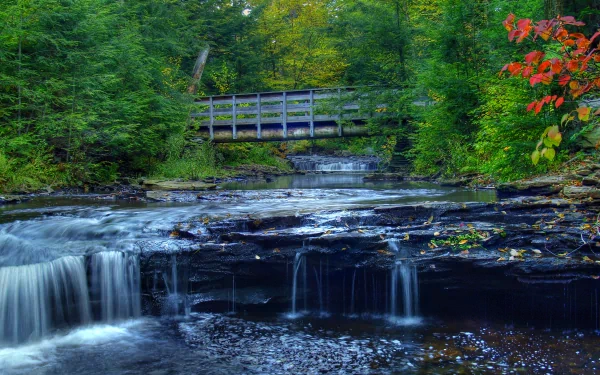 HD desktop wallpaper showcasing a man-made wooden bridge over a serene waterfall surrounded by lush green and autumn foliage.