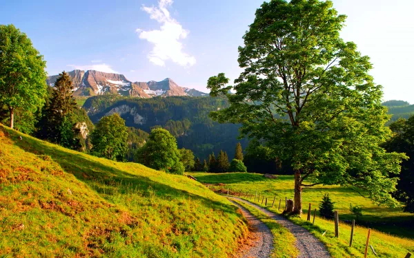 A stunning HD desktop wallpaper showcasing a picturesque landscape with a winding path through lush green fields, majestic trees, and distant mountains under a clear blue sky.