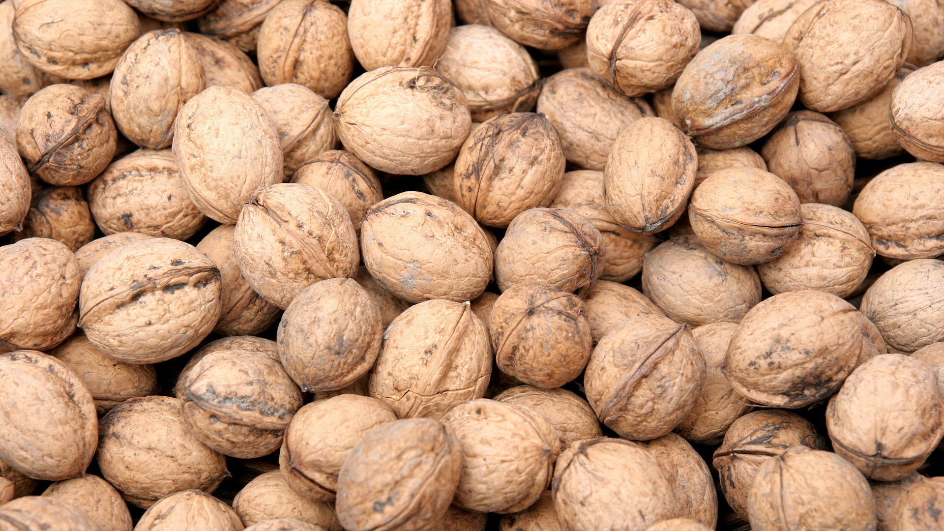 Walnut HD Wallpaper | Background Image | 1920x1080