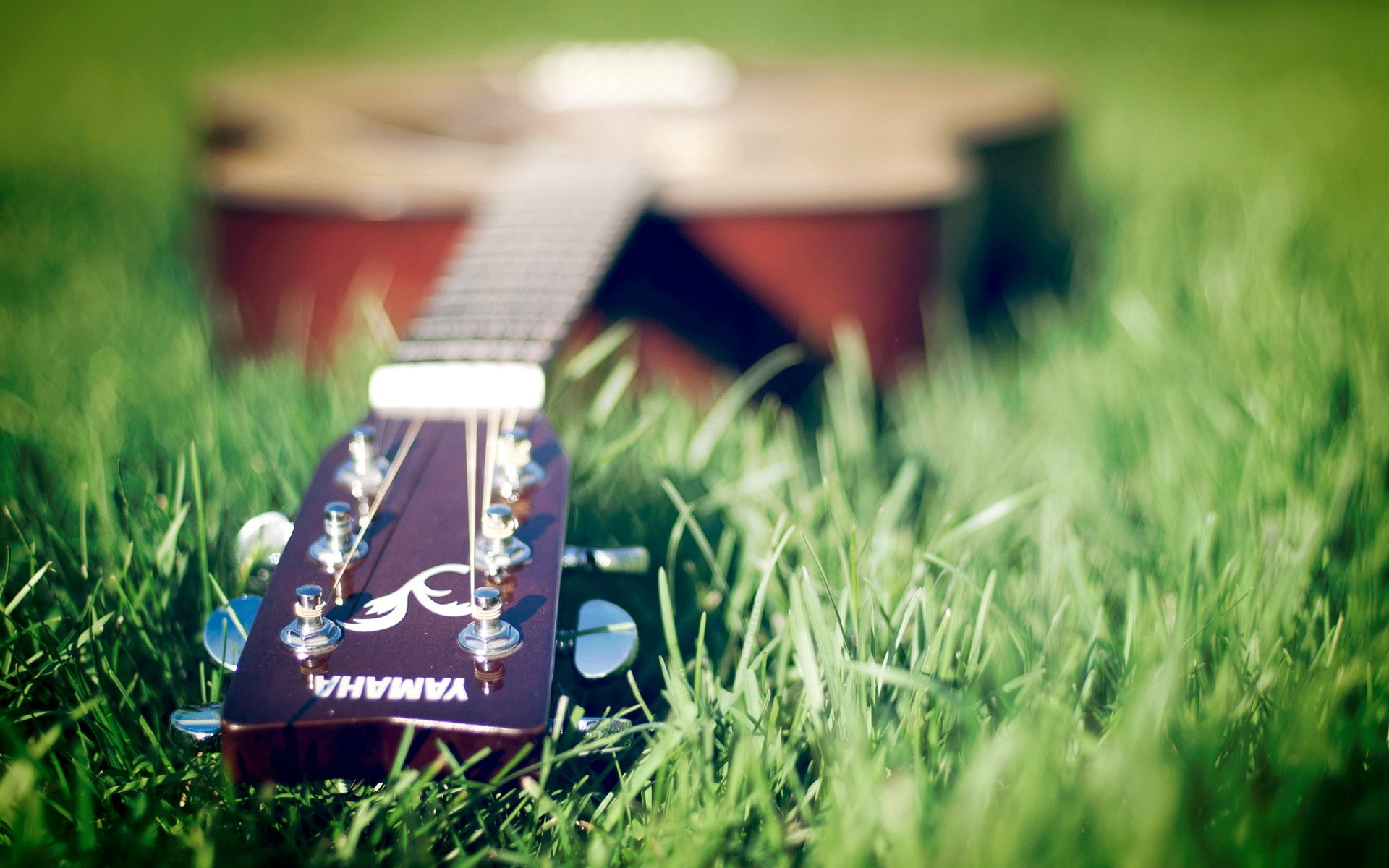 A close-up of a guitar resting on vibrant green grass, capturing the essence of music in a serene natural setting. A stunning HD wallpaper for music lovers.