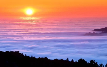 HD desktop wallpaper of a vibrant sunset over a vast sea of clouds, with silhouetted trees and hills enhancing the natural beauty of the scene.