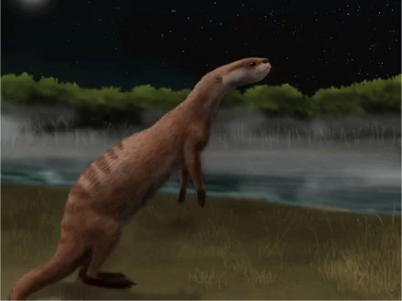  Potamotherium