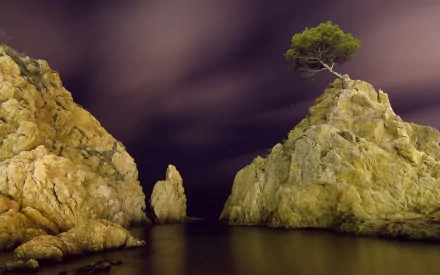 nature cliff HD Desktop Wallpaper | Background Image