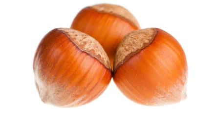 food hazelnut HD Desktop Wallpaper | Background Image