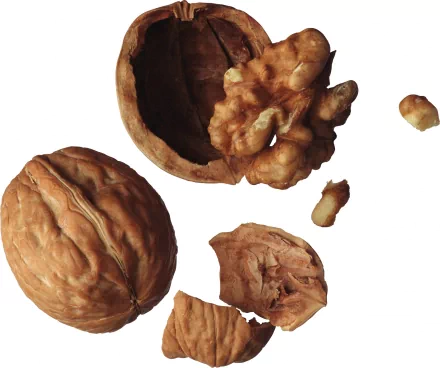 HD PC desktop wallpaper featuring close-up of whole and cracked walnuts on a white background, highlighting natural textures and details of the food.