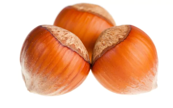 food hazelnut HD Desktop Wallpaper | Background Image