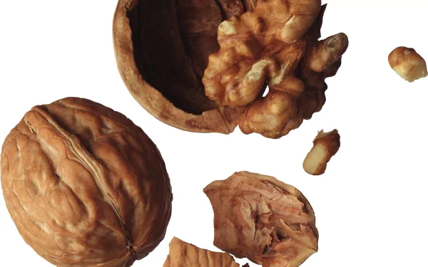 food walnut HD Desktop Wallpaper | Background Image