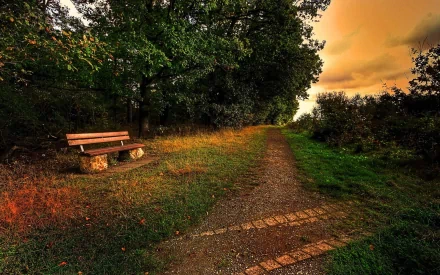 A serene pathway lined with trees features a rustic bench, creating a peaceful atmosphere. This HD desktop wallpaper captures nature's tranquility beautifully.