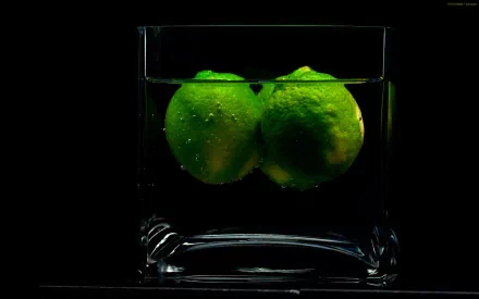 food lime HD Desktop Wallpaper | Background Image