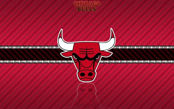 Chicago Bulls Sports HD Desktop Wallpaper | Background Image