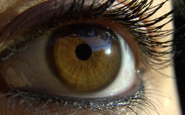 artistic eye HD Desktop Wallpaper | Background Image