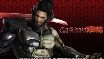 Samuel Rodrigues video game Metal Gear Rising: Revengeance HD Desktop Wallpaper | Background Image