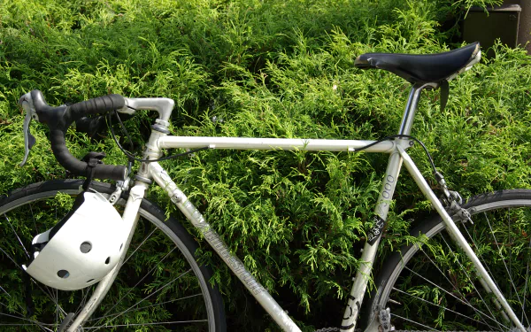 A close-up of a bicycle with a white helmet resting on the handlebars, set against a backdrop of lush green foliage. This image serves as a vibrant 4K Ultra HD desktop wallpaper.