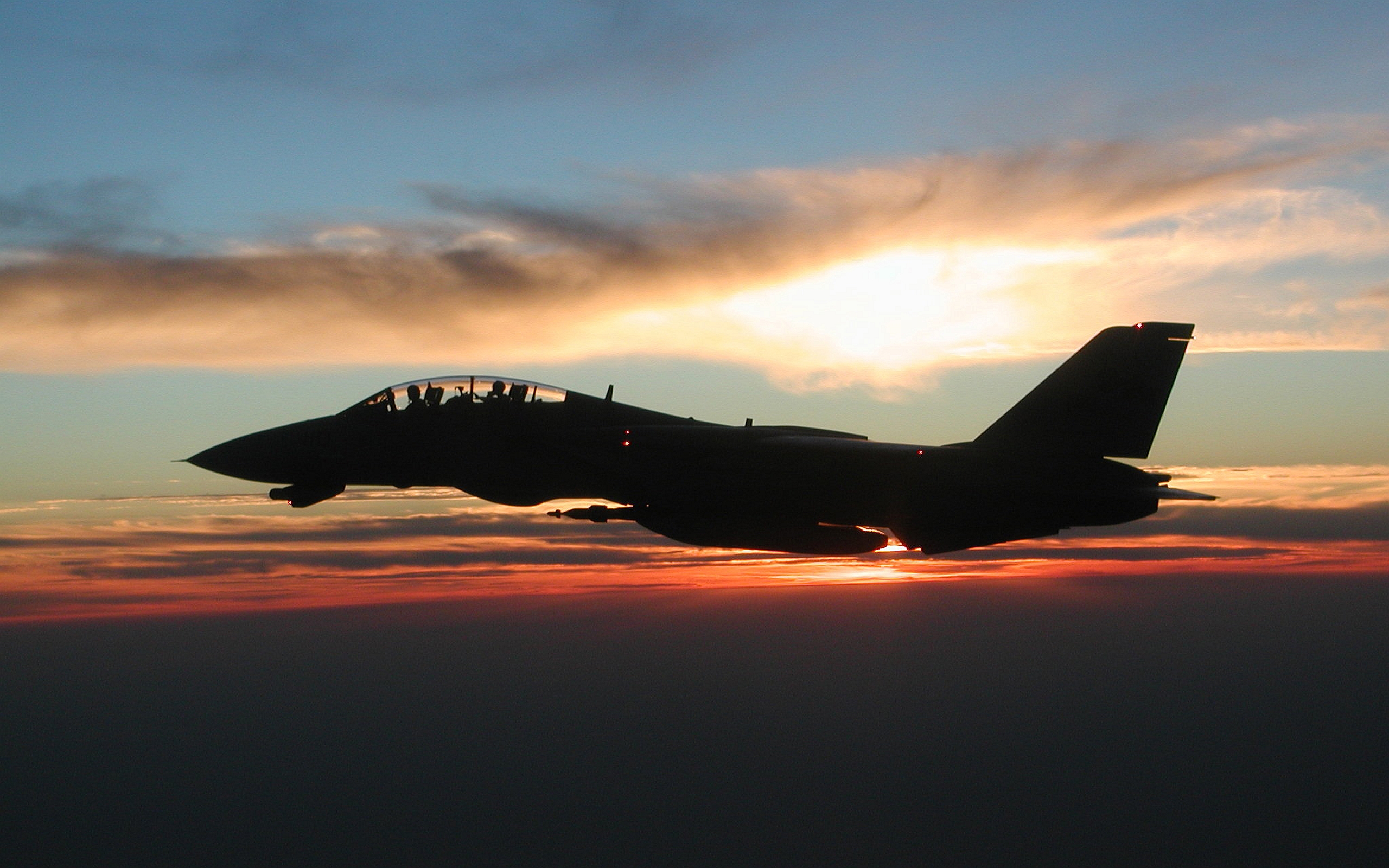 40+ Grumman F-14 Tomcat HD Wallpapers and Backgrounds