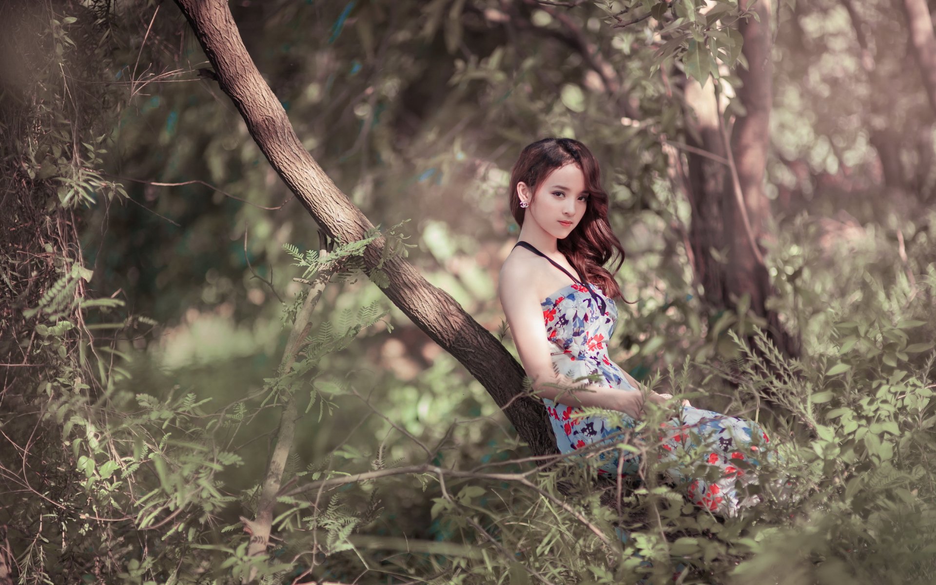 HD desktop wallpaper featuring an Asian woman in a floral dress, sitting gracefully on a tree trunk amidst lush greenery.