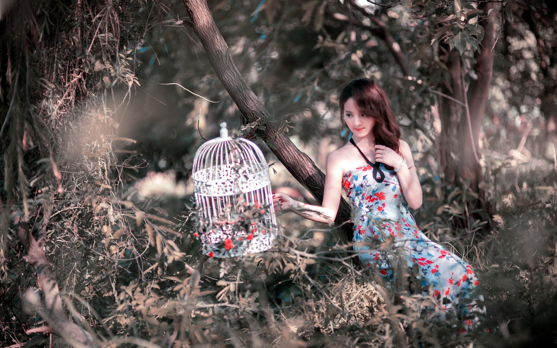 An Asian woman in a floral dress sits beside a white birdcage in a lush, wooded area. This HD wallpaper captures a serene, nature-filled moment.