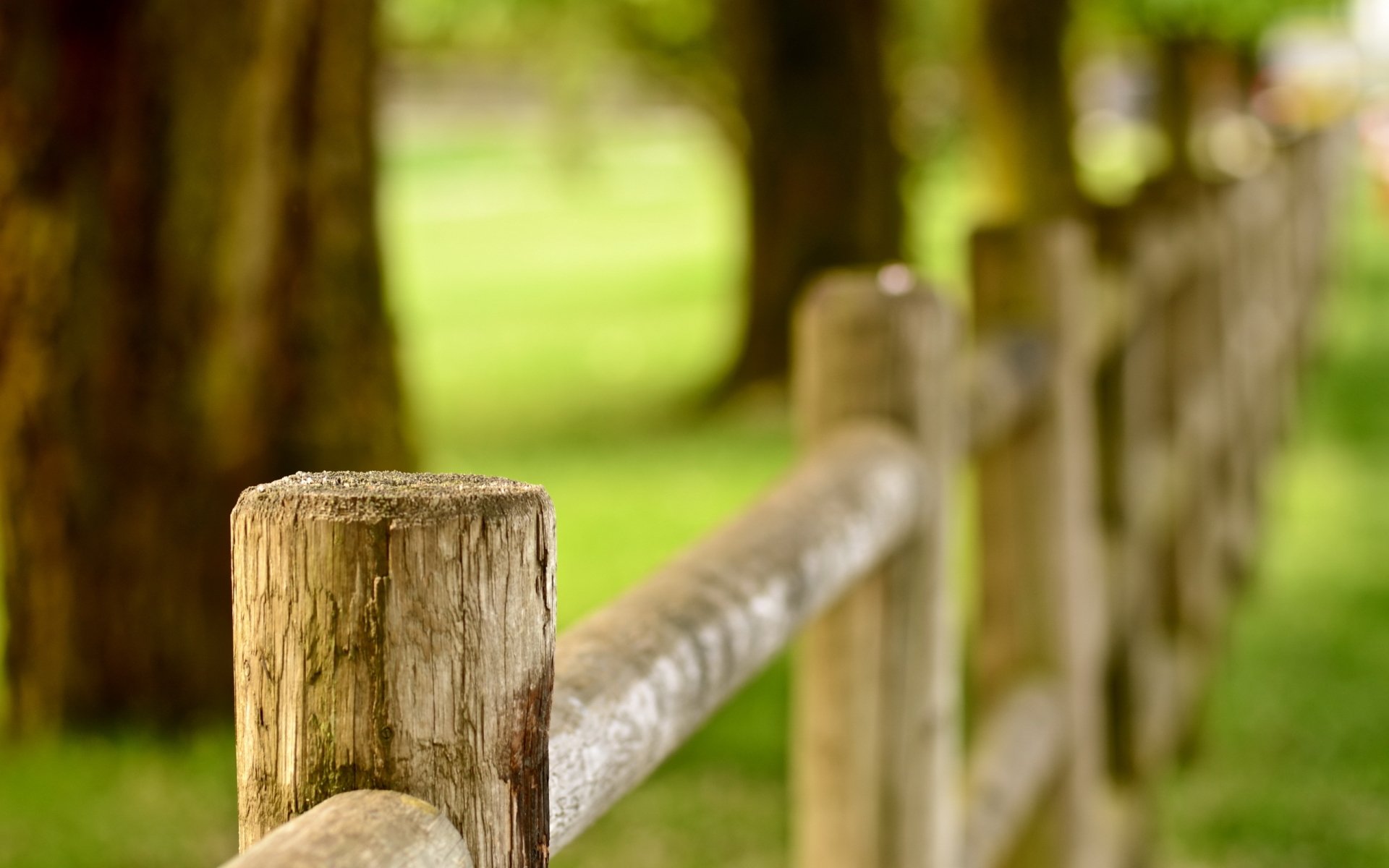 Fence HD Wallpaper | Background Image | 2560x1600 | ID:412152