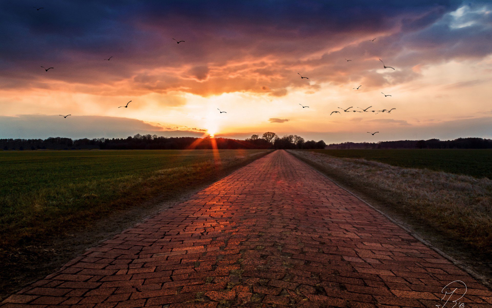 Download Nature Sunset HD Wallpaper | 1920x1200 | Wallpaper Abyss