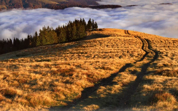 man made path HD Desktop Wallpaper | Background Image