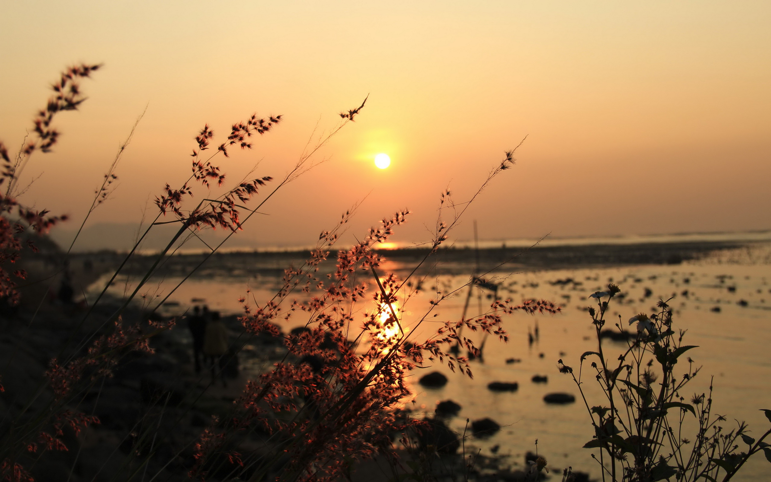 Download Nature Sunset HD Wallpaper