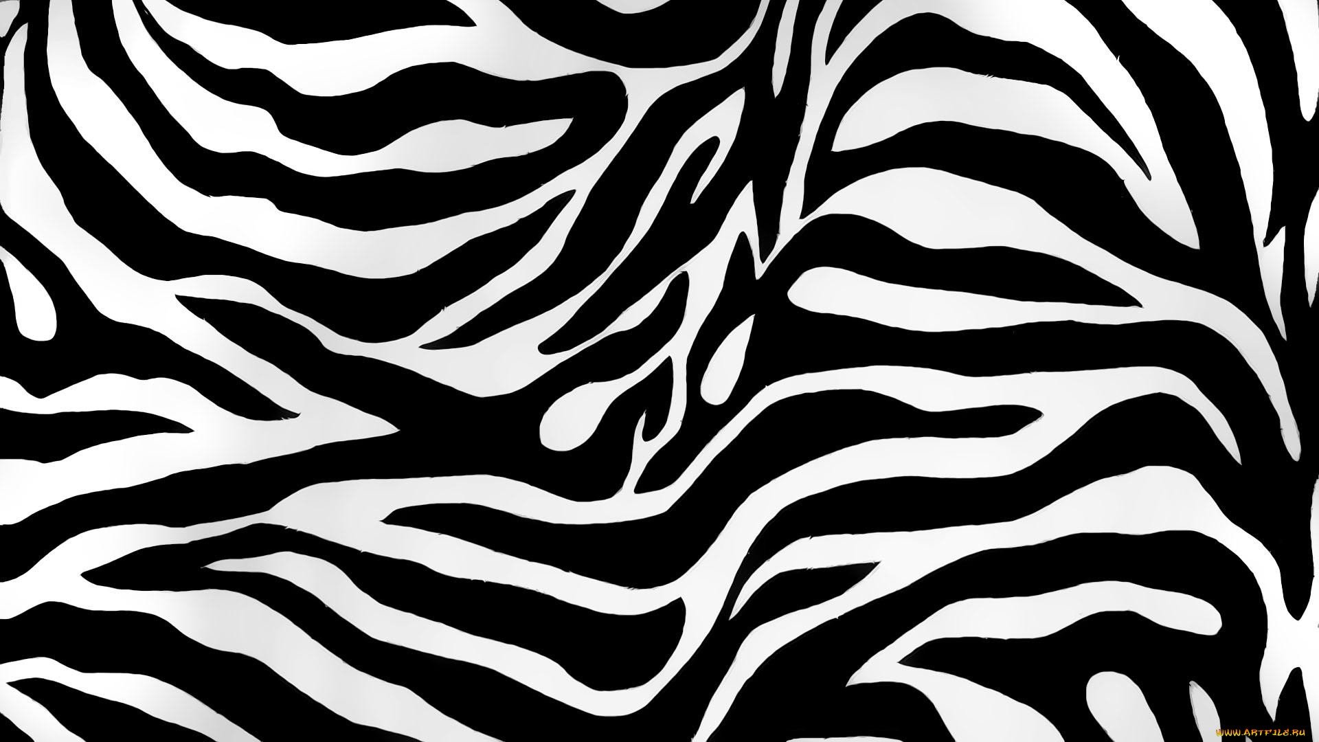 Abstract black and white zebra stripe pattern creating a bold, high-contrast HD PC desktop wallpaper and background with an artistic, fluid design.