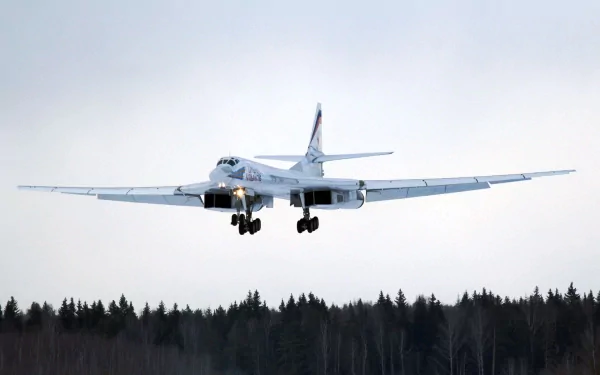 A Tupolev Tu-160 military aircraft is depicted in flight against a backdrop of trees, showcasing its impressive wingspan in this high-definition desktop wallpaper.