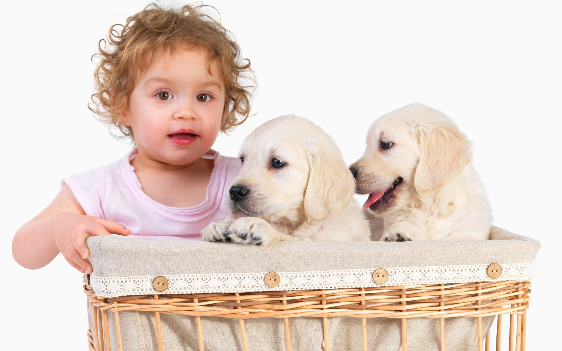 A cheerful child with curly hair smiles while sitting beside two playful golden retriever puppies in a wicker basket, creating an adorable and heartwarming scene.