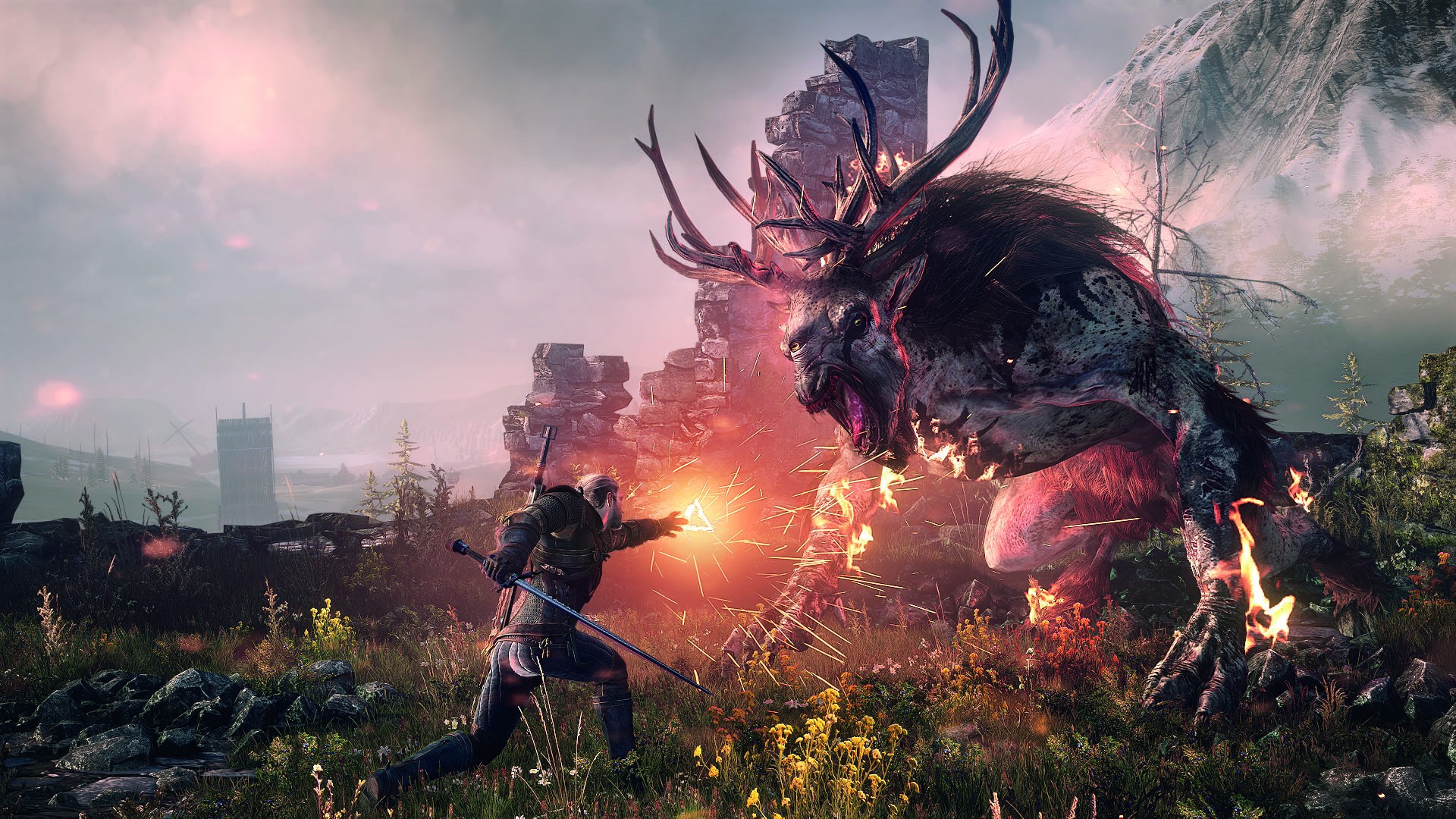 Triss Merigold Witcher 3 HD Wallpaper
