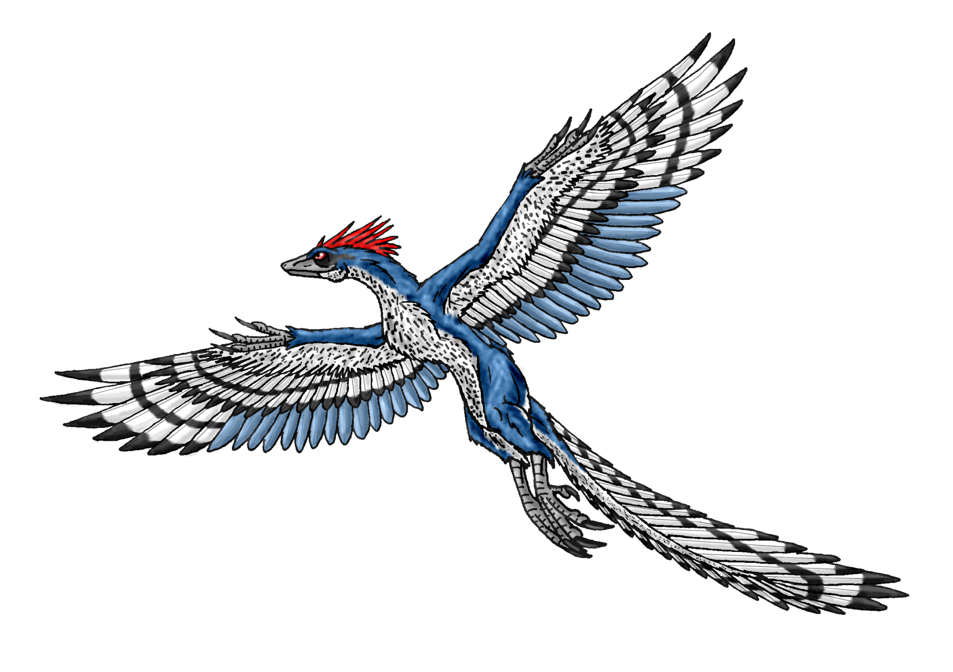 HD PC desktop wallpaper featuring a detailed illustration of an Archaeopteryx with blue, white, and black feathers and a red crest in mid-flight.