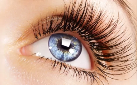 A close-up of a woman's eye, showcasing striking blue color and long, elegant lashes. The image serves as a stunning HD desktop wallpaper and background.