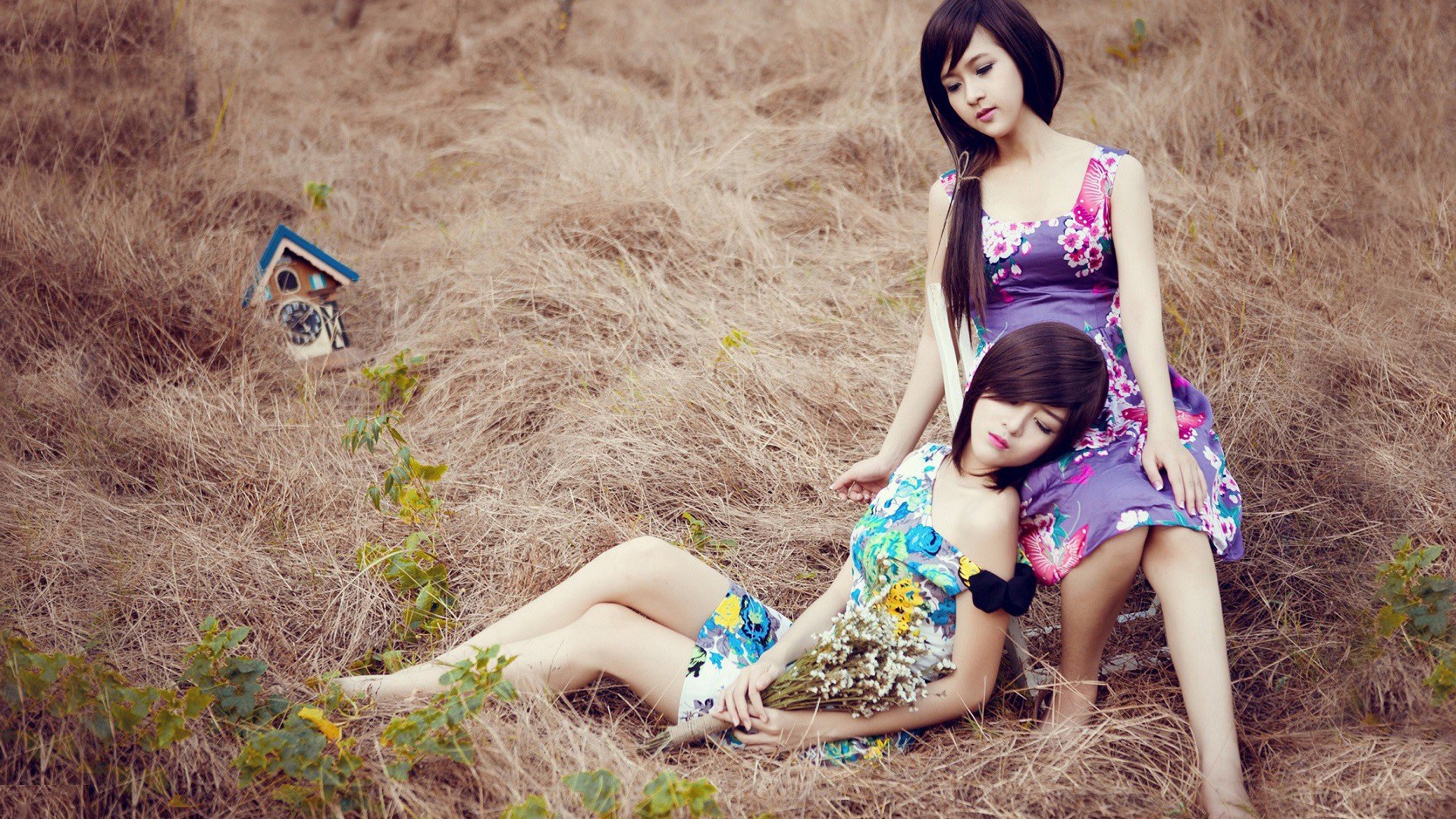 Two women in floral dresses are sitting and lying down on dry grass, with a small birdhouse in the background. HD desktop wallpaper.
