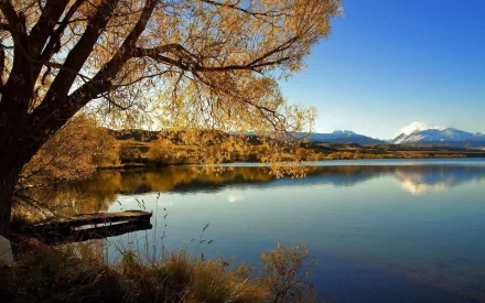 A serene lakeside view featuring a golden tree reflecting on the calm water, framed by distant mountains under a clear blue sky—an enchanting nature HD wallpaper.