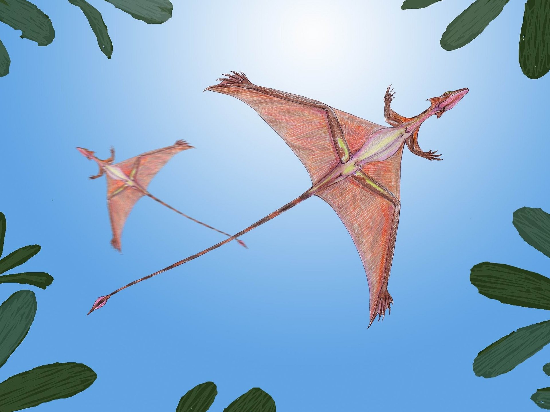 Download Animal Extinct HD Wallpaper