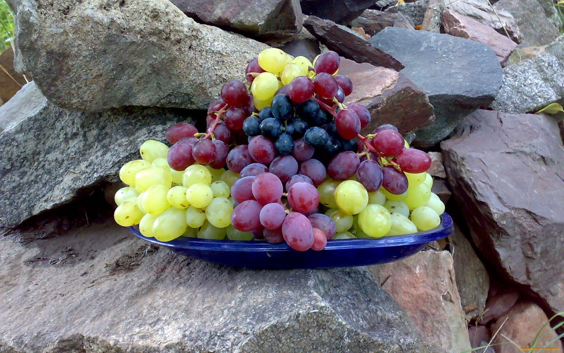 Wallpaper Grapes 4k Food 15355