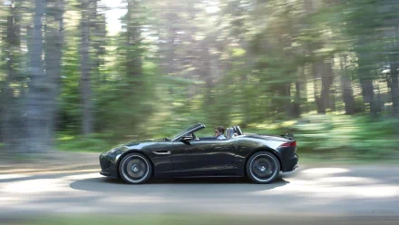vehicle Jaguar F-Type HD Desktop Wallpaper | Background Image