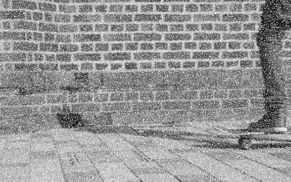 A dynamic 4K Ultra HD desktop wallpaper showing a skateboarder performing a trick against a brick wall backdrop, capturing the energy of skateboarding and urban sports.