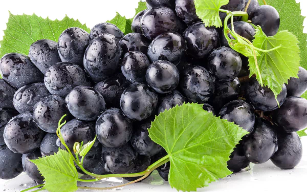 Fresh, vibrant black grapes glisten with water droplets, surrounded by lush green leaves, creating a rich and enticing HD desktop wallpaper and background.