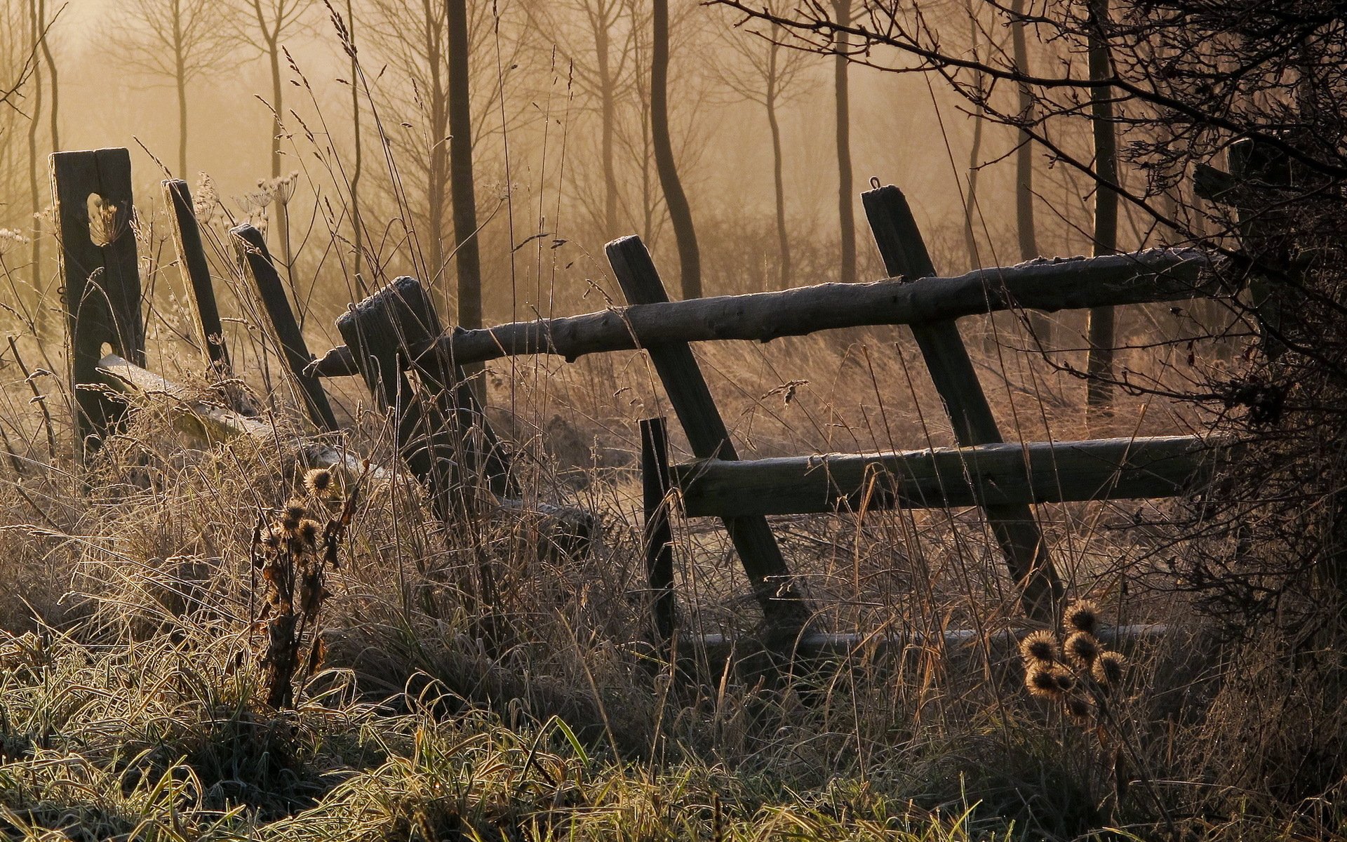 HD PC desktop wallpaper of a man-made weathered wooden fence leaning through a frost-covered meadow in golden mist at dawn.