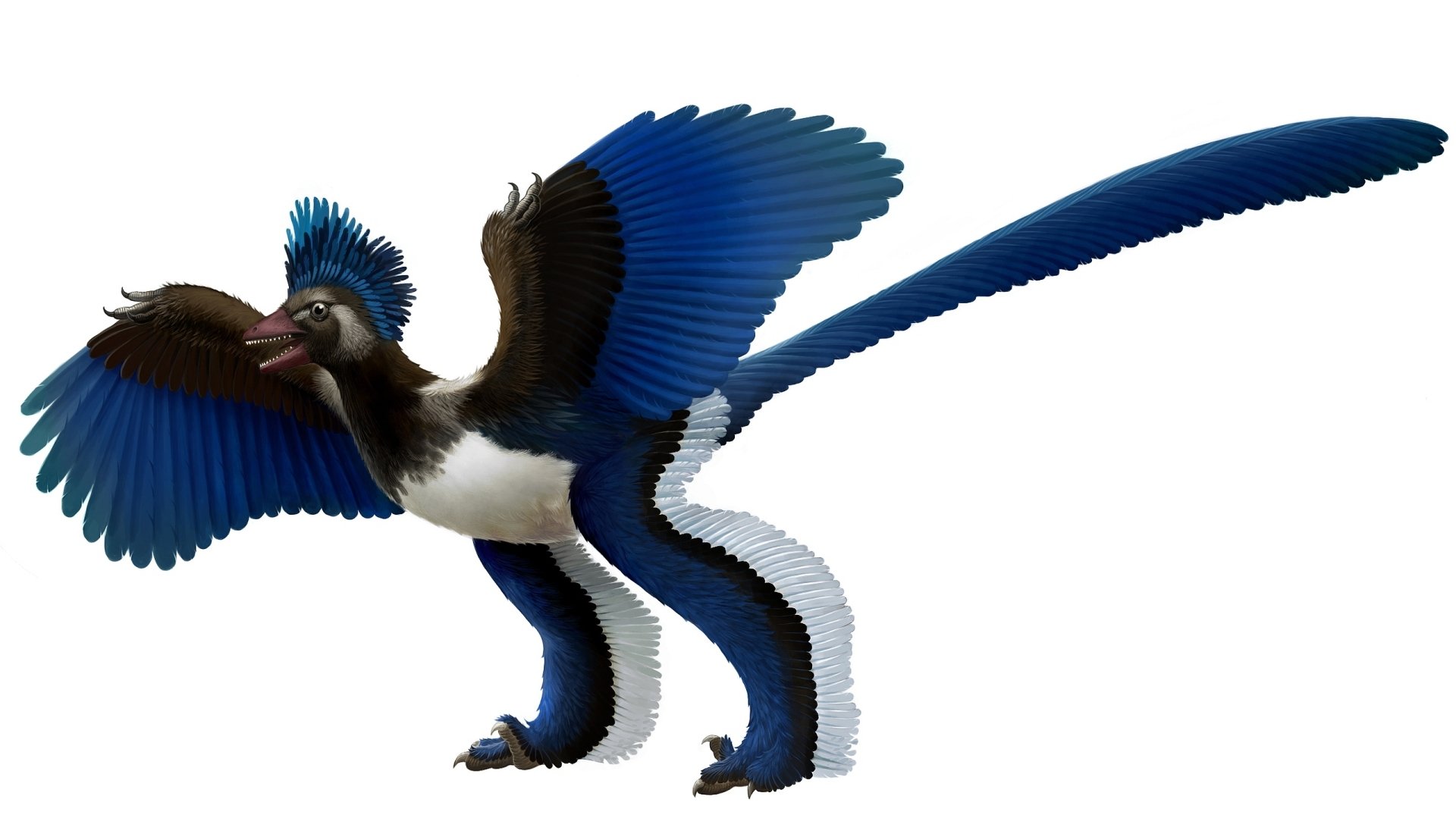 dino archaeopteryx