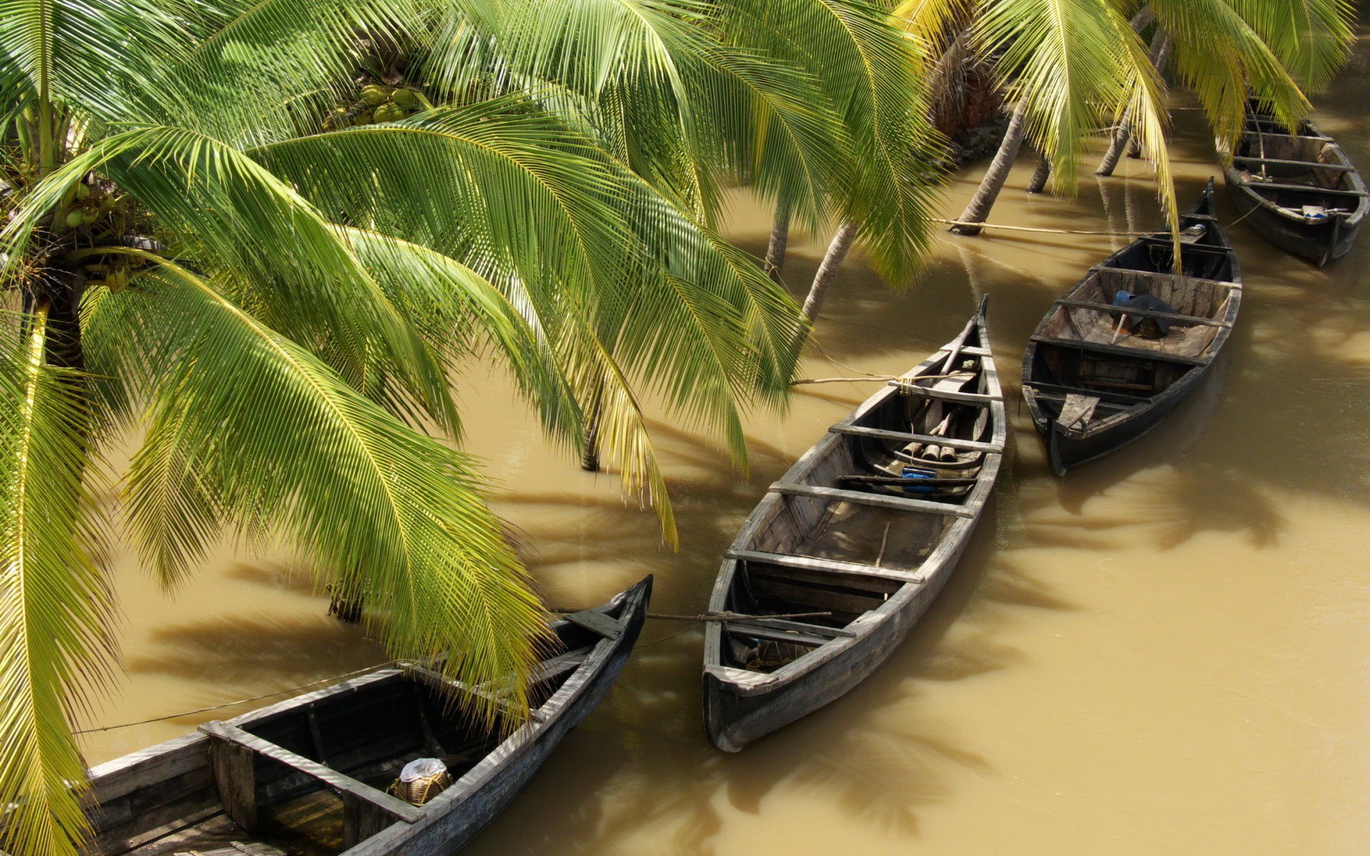 HD PC desktop wallpaper showing several wooden boats moored along a calm, muddy riverbank beneath lush green palm trees.
