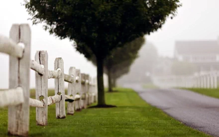 HD PC desktop wallpaper showing a man-made white wooden fence along a foggy roadside with green grass and a row of trees in the background.
